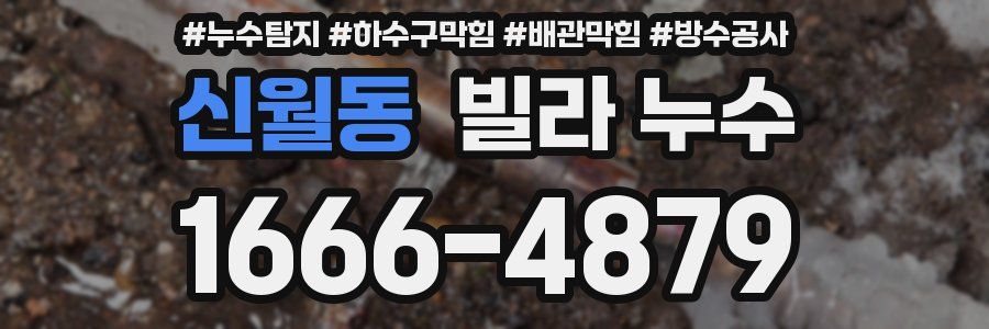 신월동 빌라 누수