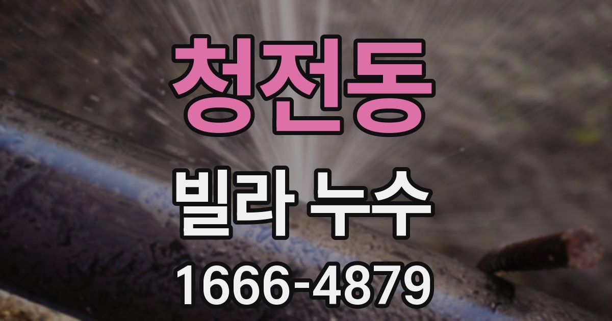 청전동 빌라 누수