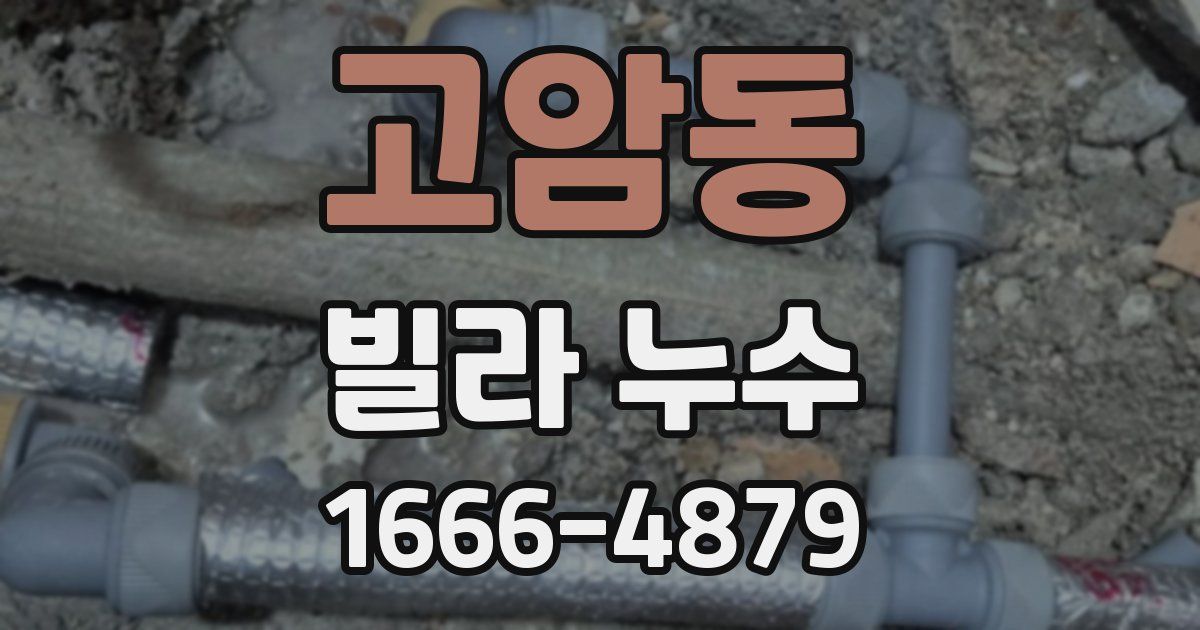 고암동 빌라 누수