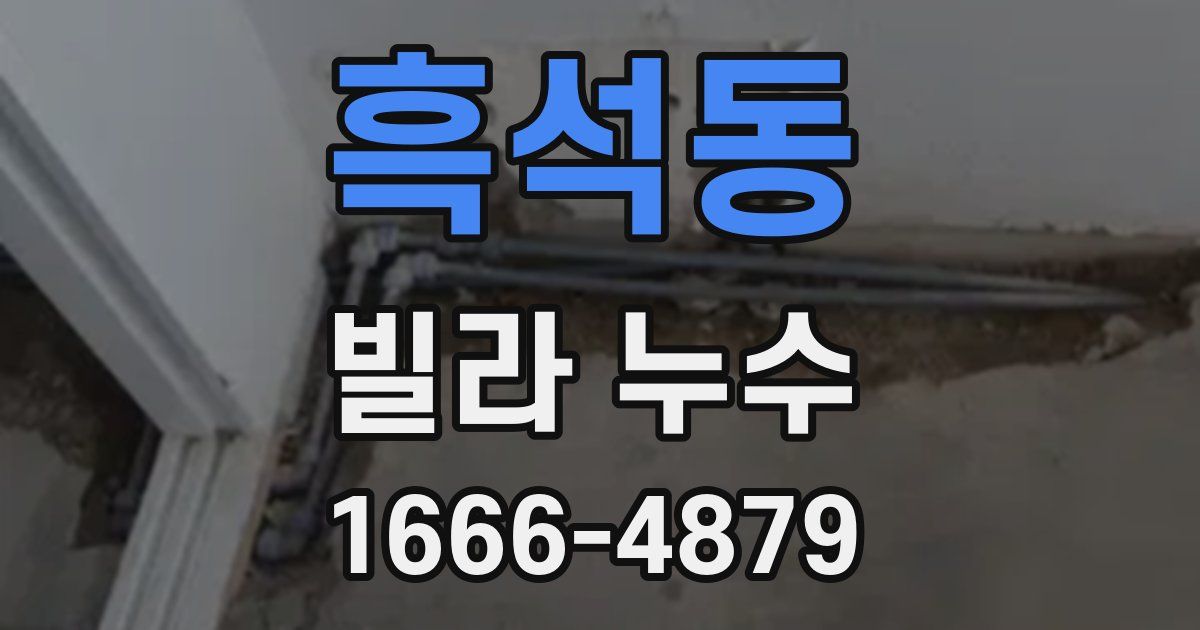 흑석동 빌라 누수