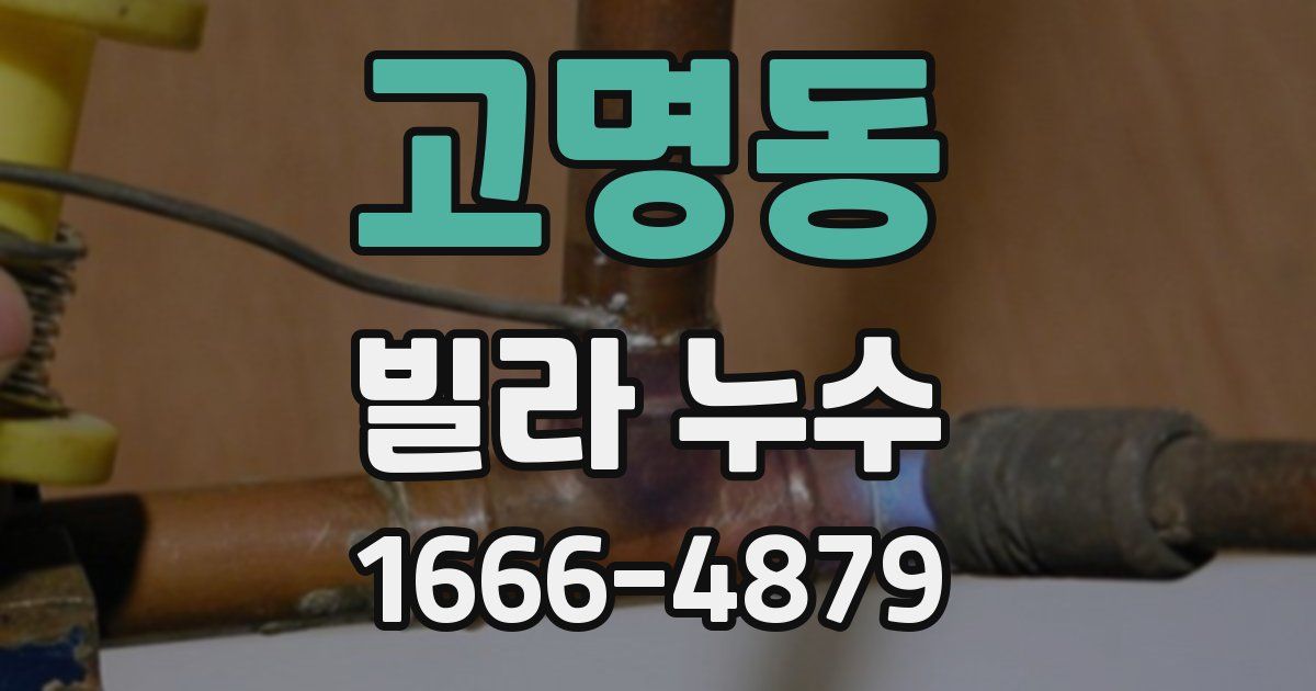 고명동 빌라 누수