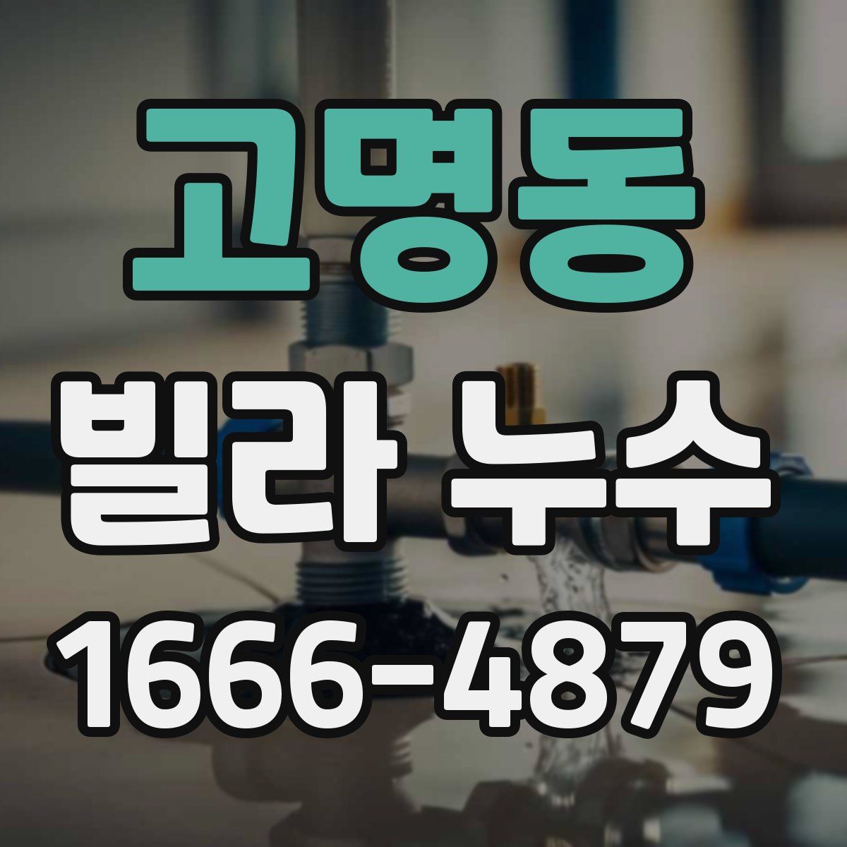 고명동 빌라 누수