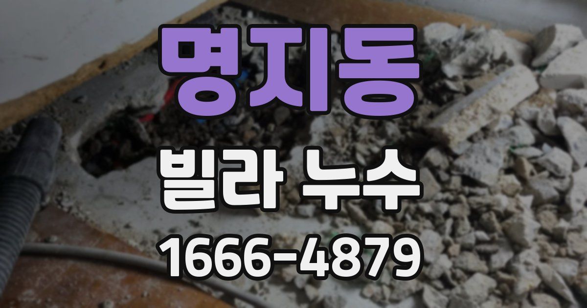 명지동 빌라 누수