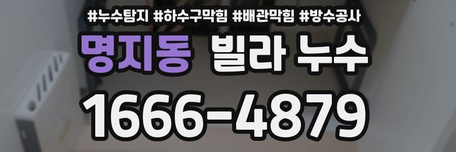 명지동 빌라 누수