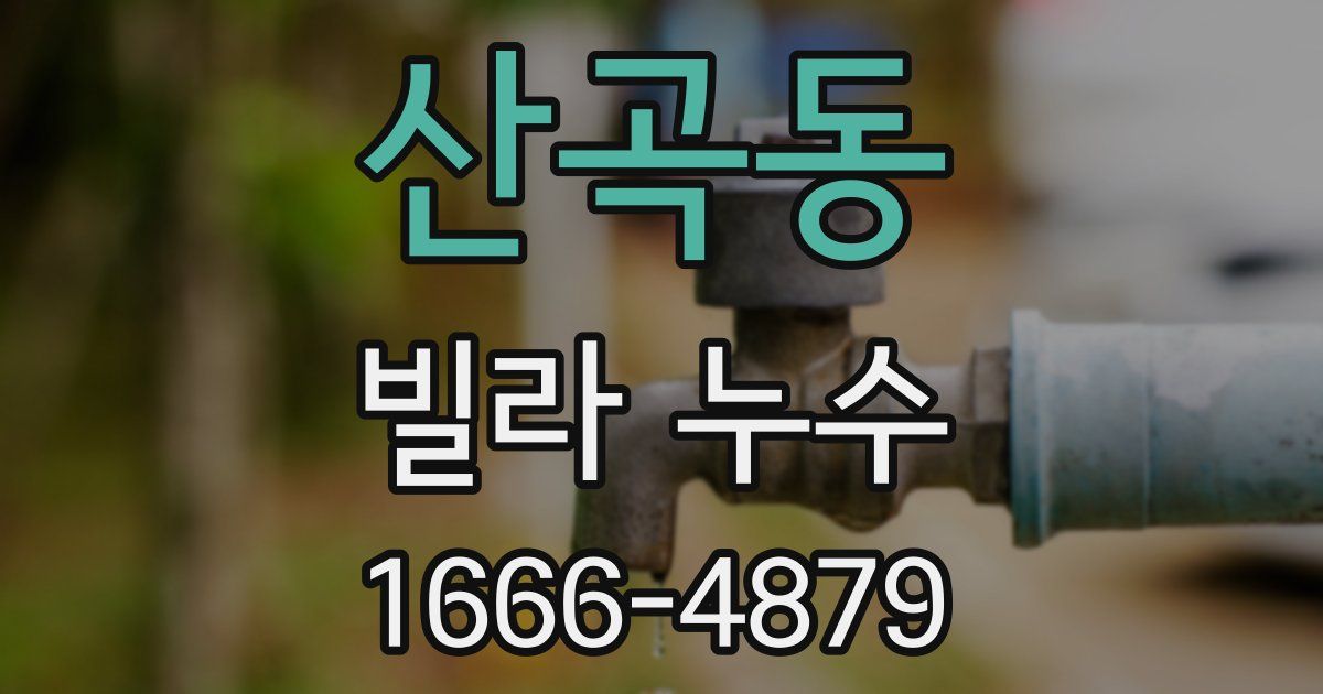 산곡동 빌라 누수