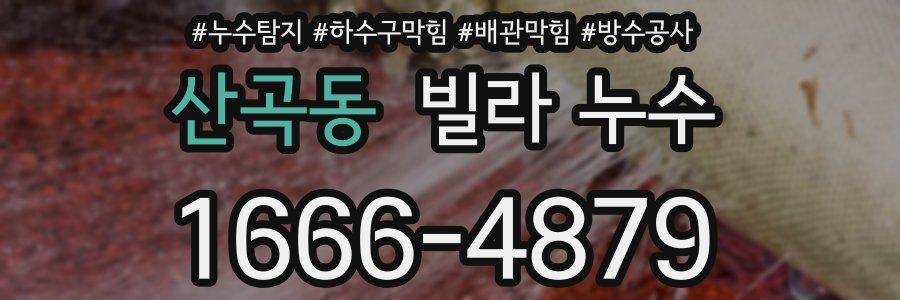 산곡동 빌라 누수
