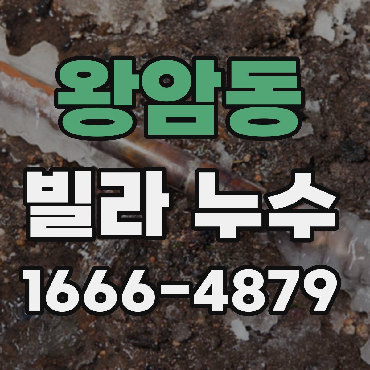 왕암동 빌라 누수