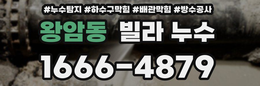왕암동 빌라 누수