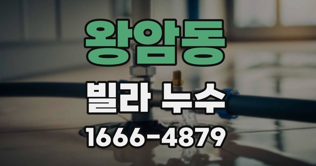 왕암동 빌라 누수