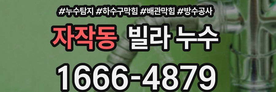 자작동 빌라 누수