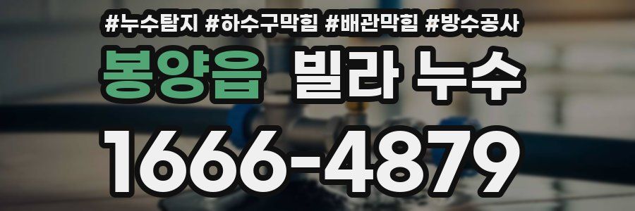 봉양읍 빌라 누수