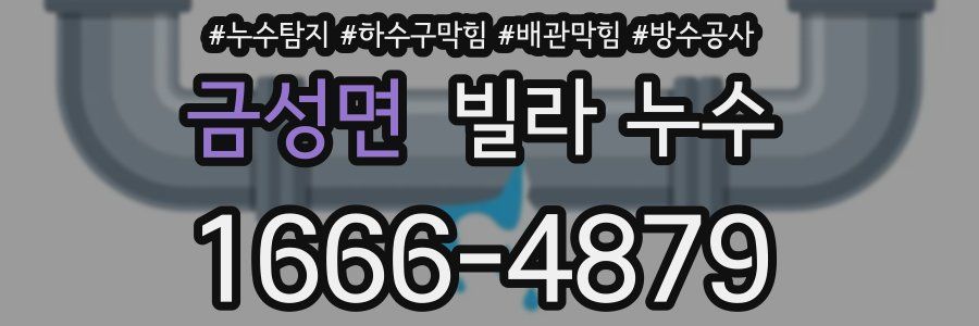 금성면 빌라 누수