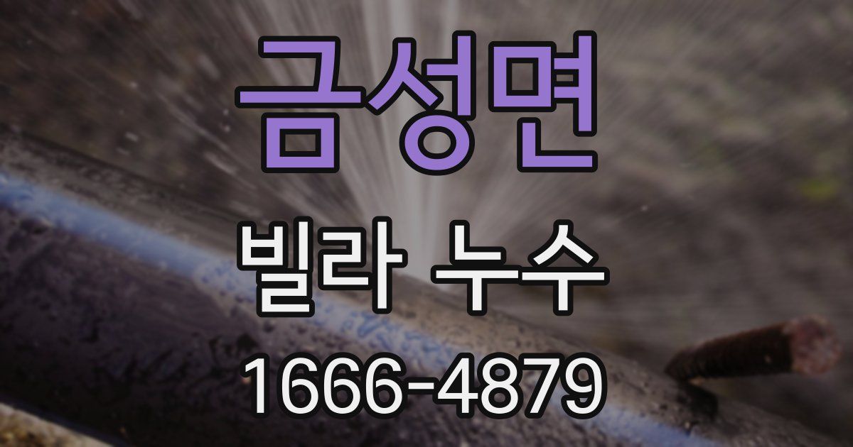 금성면 빌라 누수