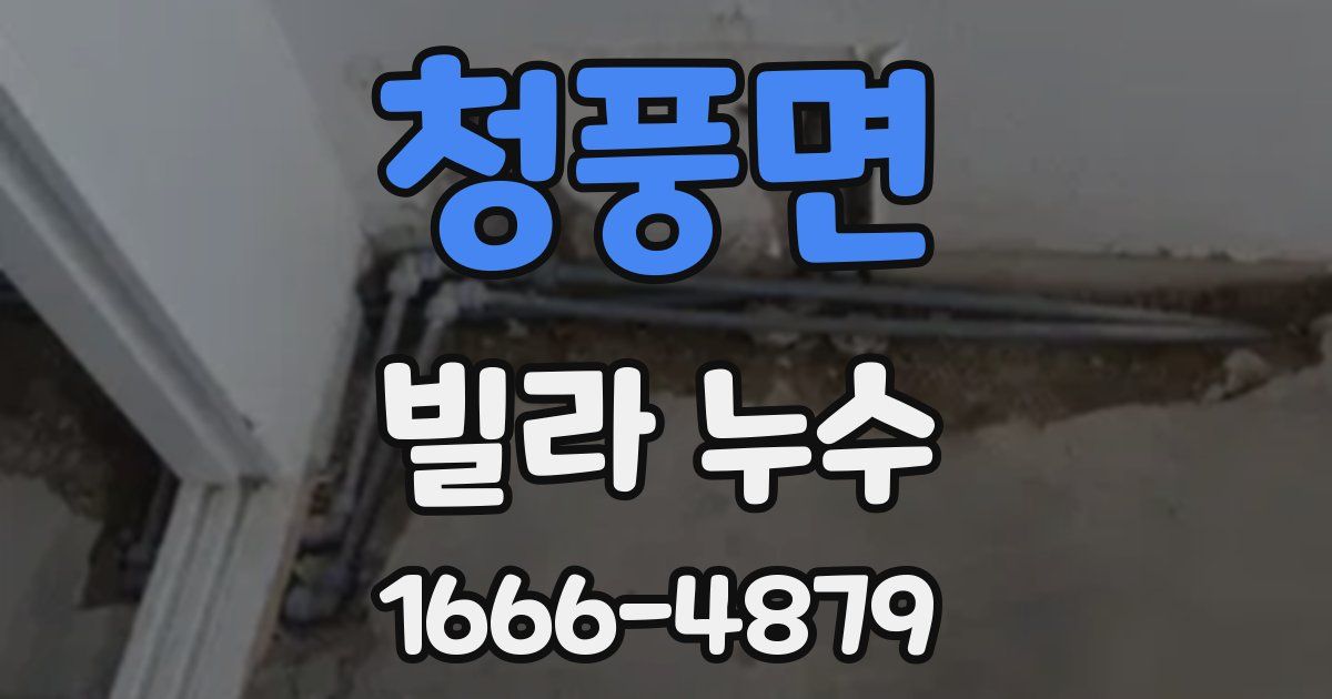 청풍면 빌라 누수