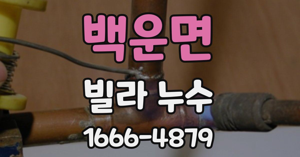 백운면 빌라 누수