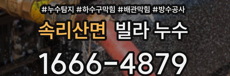 속리산면 빌라 누수