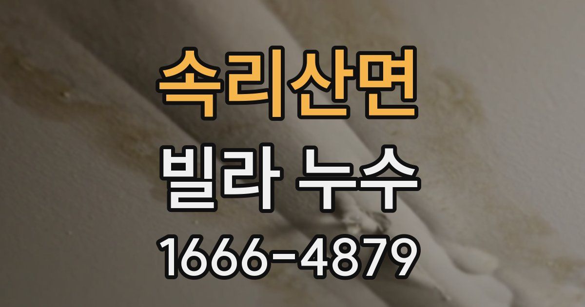 속리산면 빌라 누수