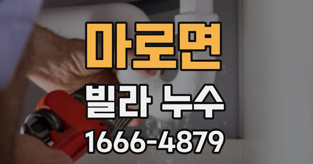 마로면 빌라 누수
