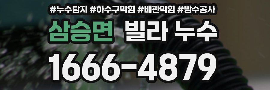 삼승면 빌라 누수