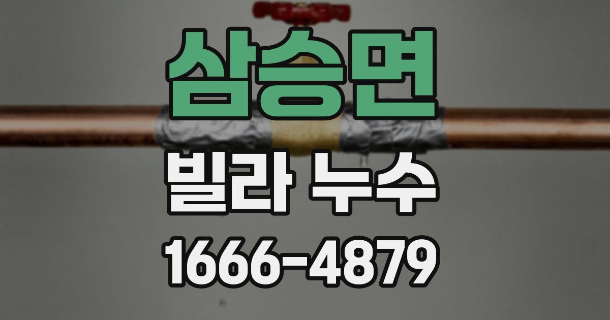 삼승면 빌라 누수