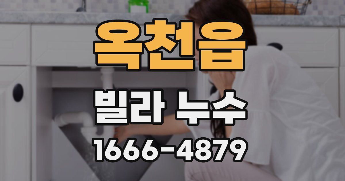 옥천읍 빌라 누수