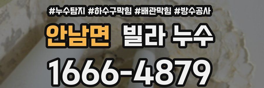 안남면 빌라 누수