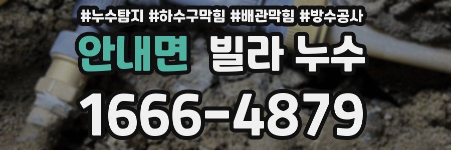 안내면 빌라 누수