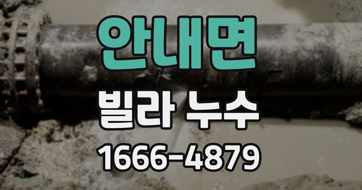 안내면 빌라 누수