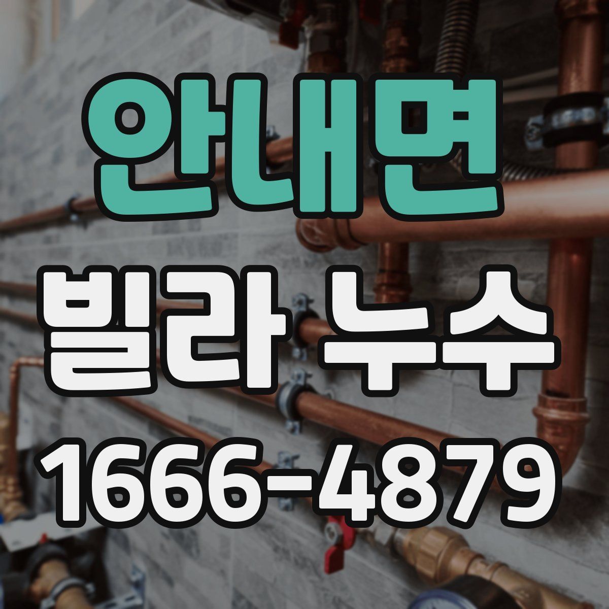 안내면 빌라 누수