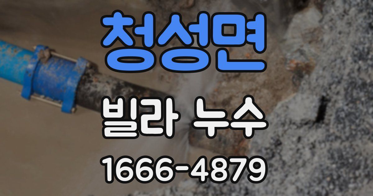청성면 빌라 누수