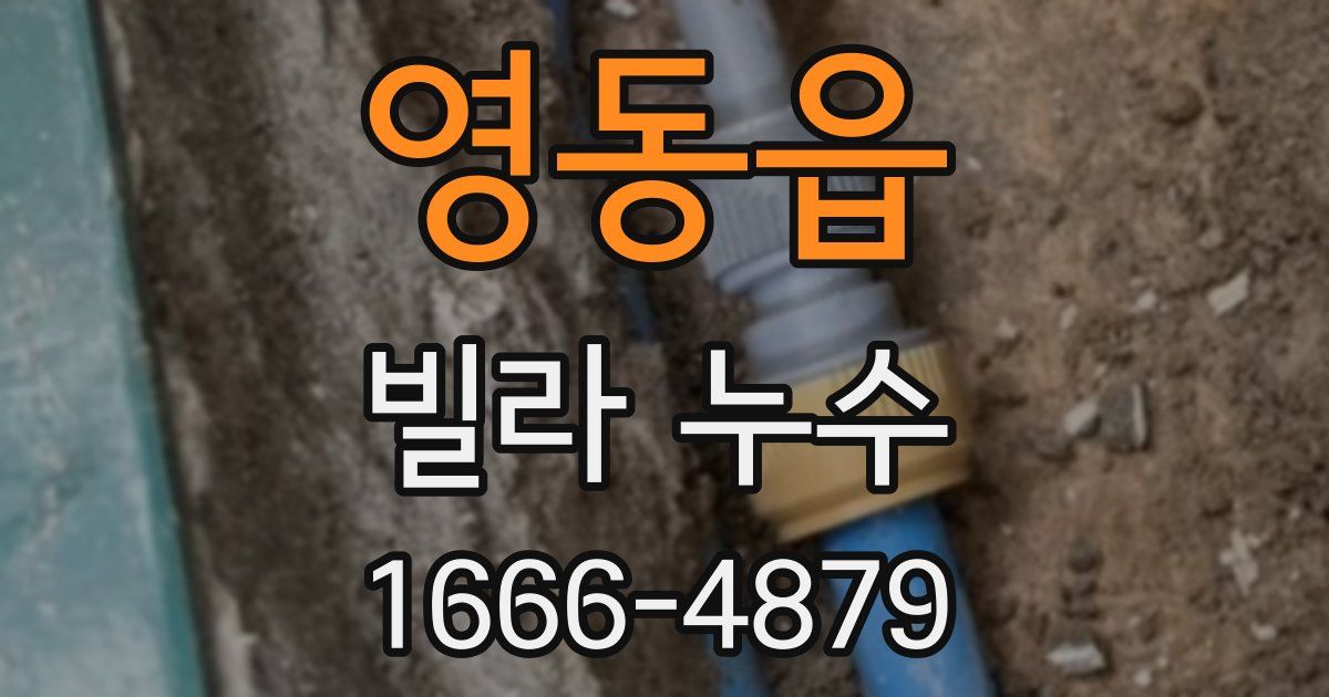 영동읍 빌라 누수