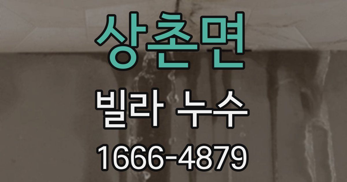 상촌면 빌라 누수
