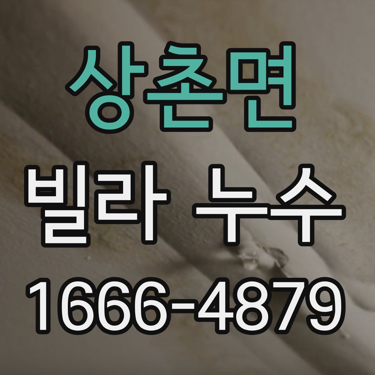 상촌면 빌라 누수