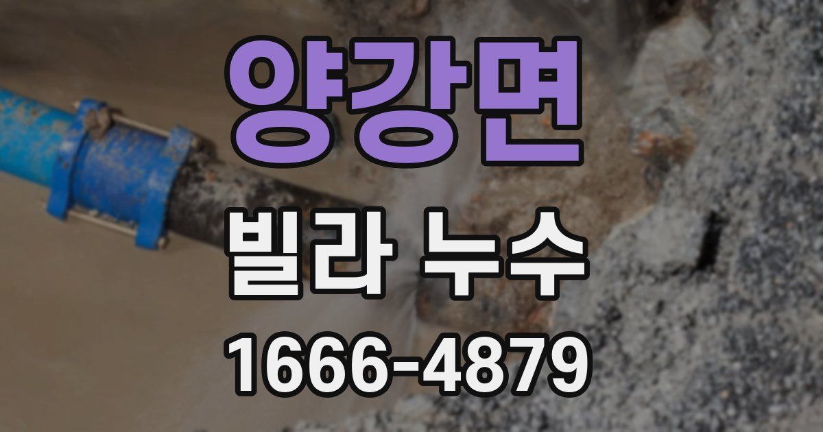 양강면 빌라 누수