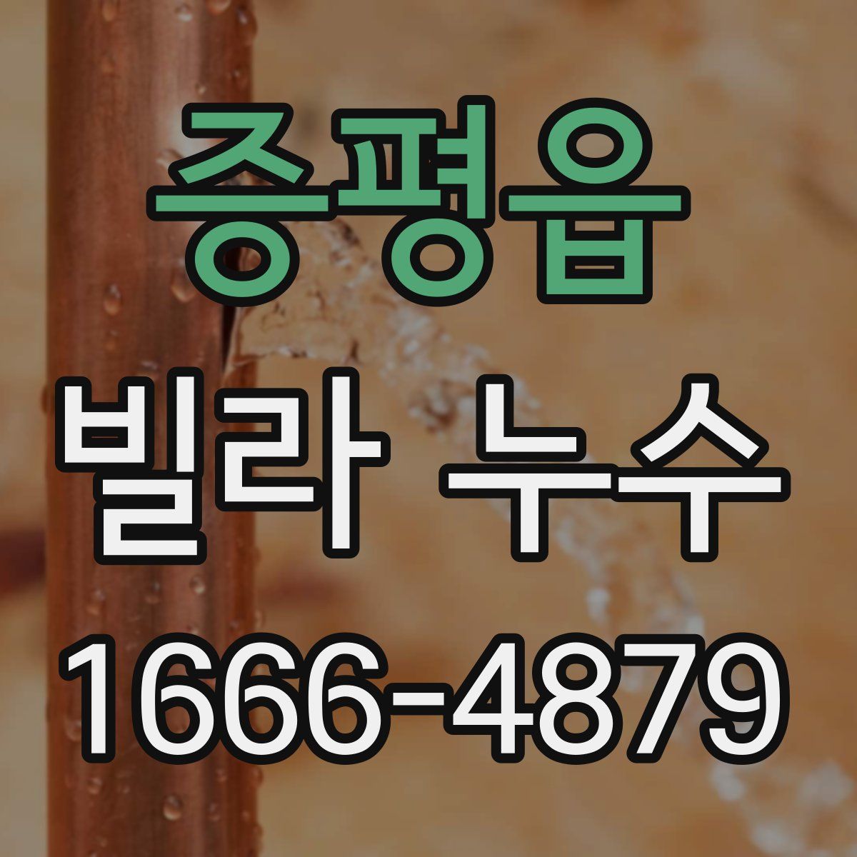증평읍 빌라 누수