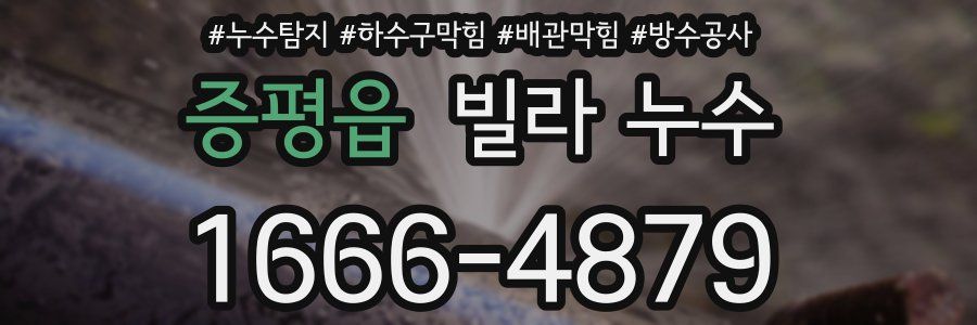 증평읍 빌라 누수