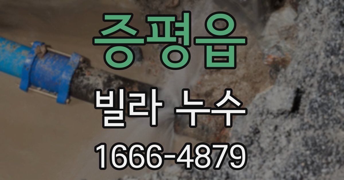 증평읍 빌라 누수