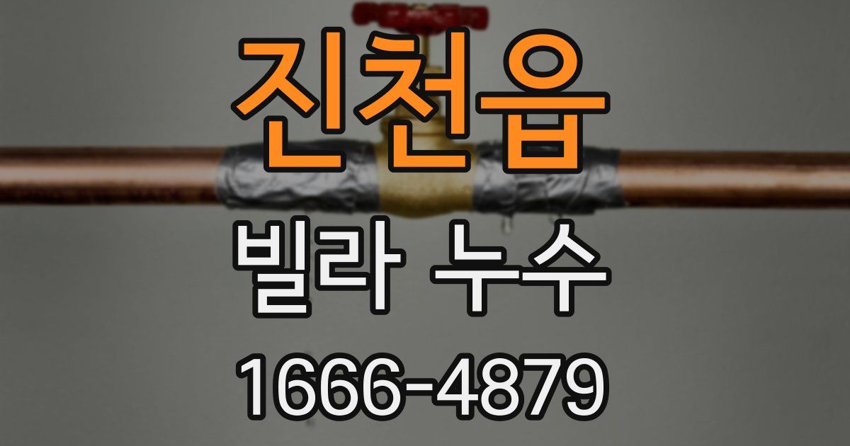 진천읍 빌라 누수