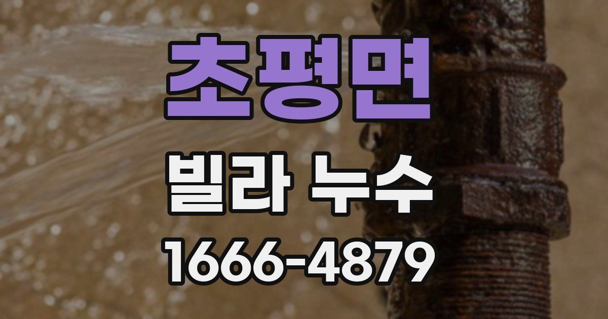 초평면 빌라 누수