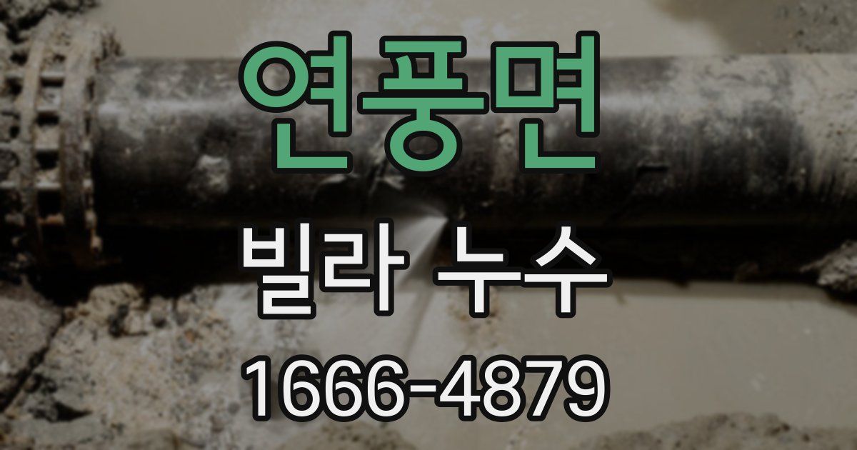 연풍면 빌라 누수