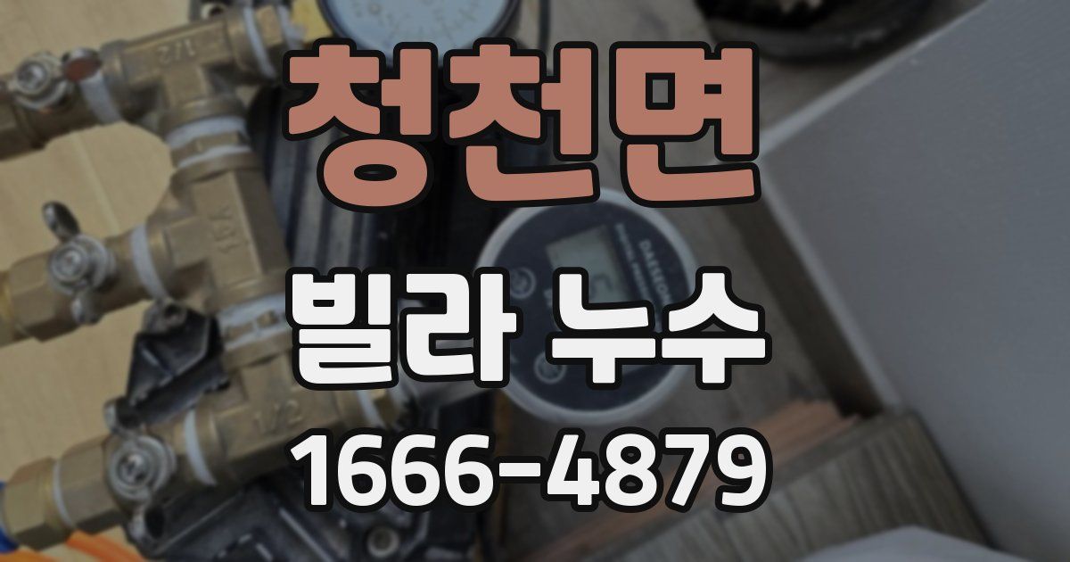 청천면 빌라 누수