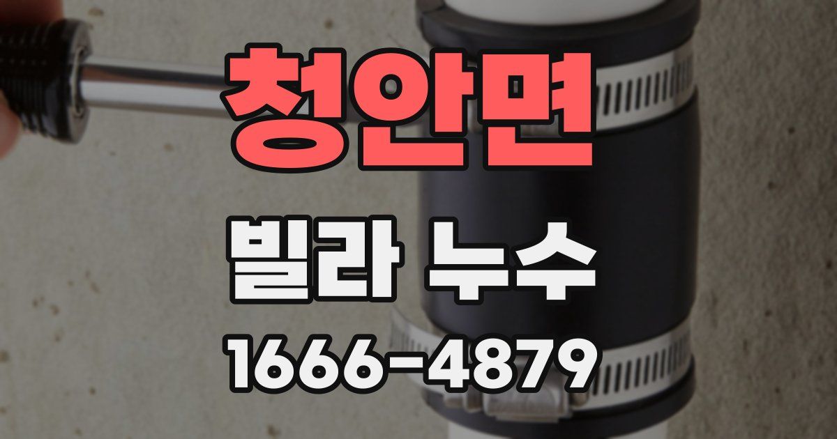 청안면 빌라 누수