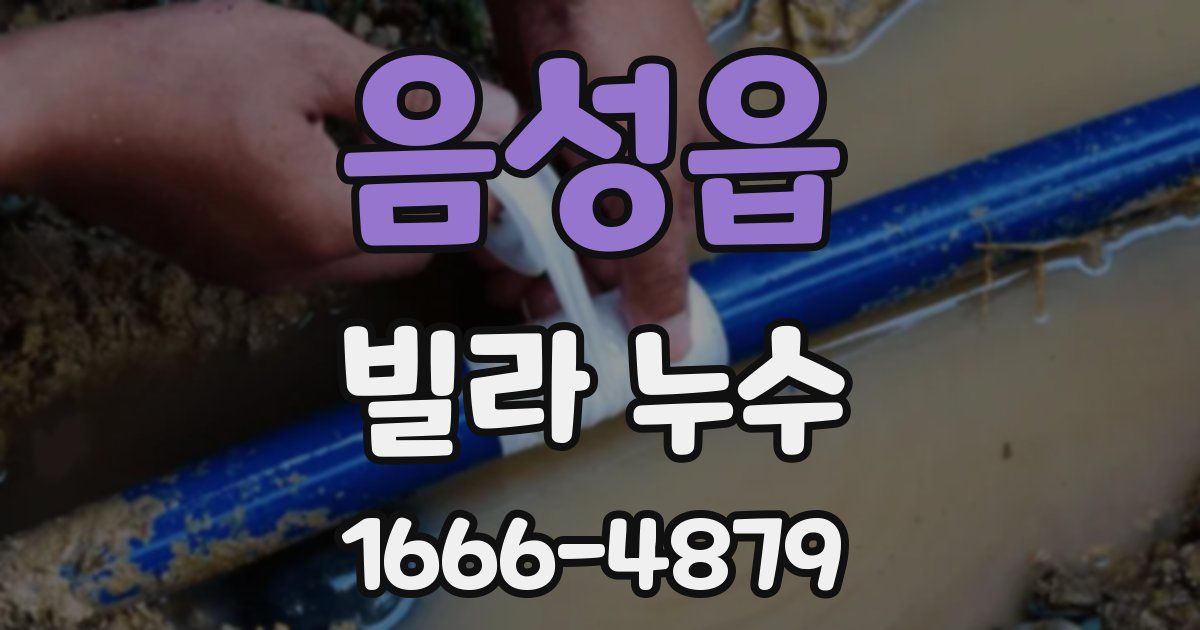 음성읍 빌라 누수