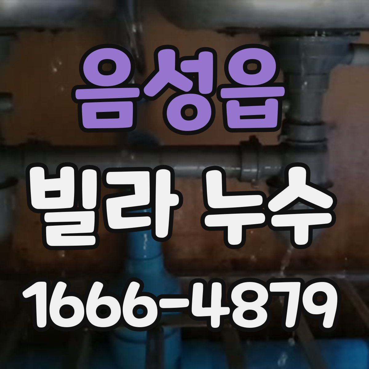 음성읍 빌라 누수