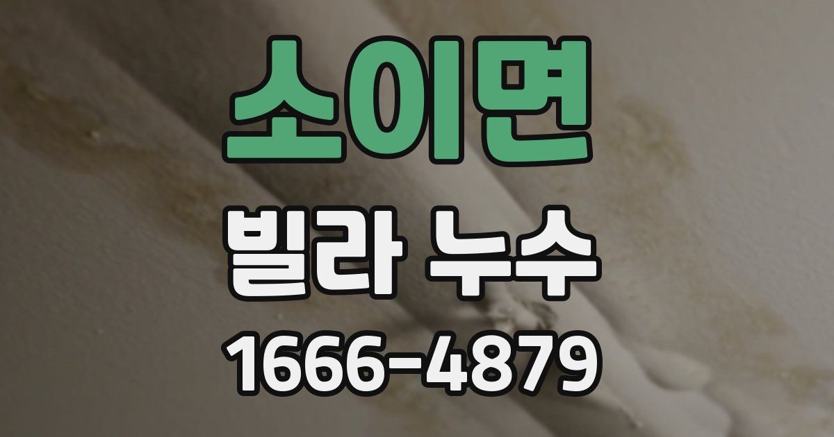 소이면 빌라 누수