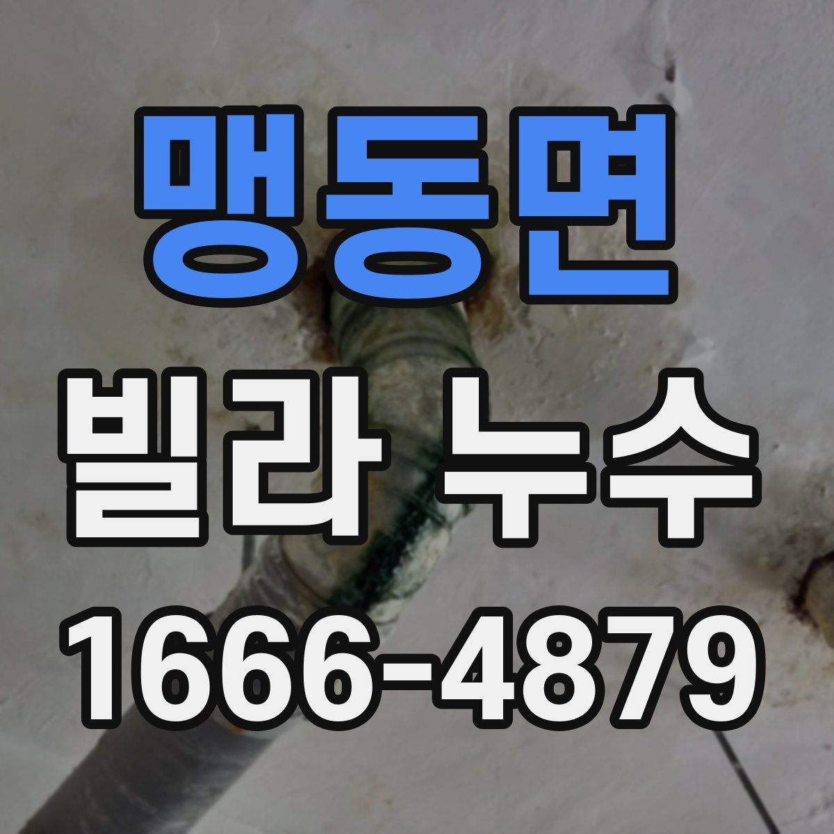맹동면 빌라 누수