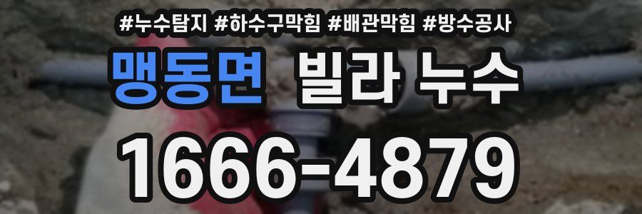 맹동면 빌라 누수