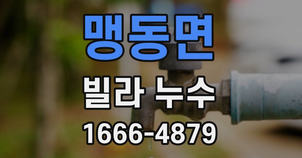 맹동면 빌라 누수