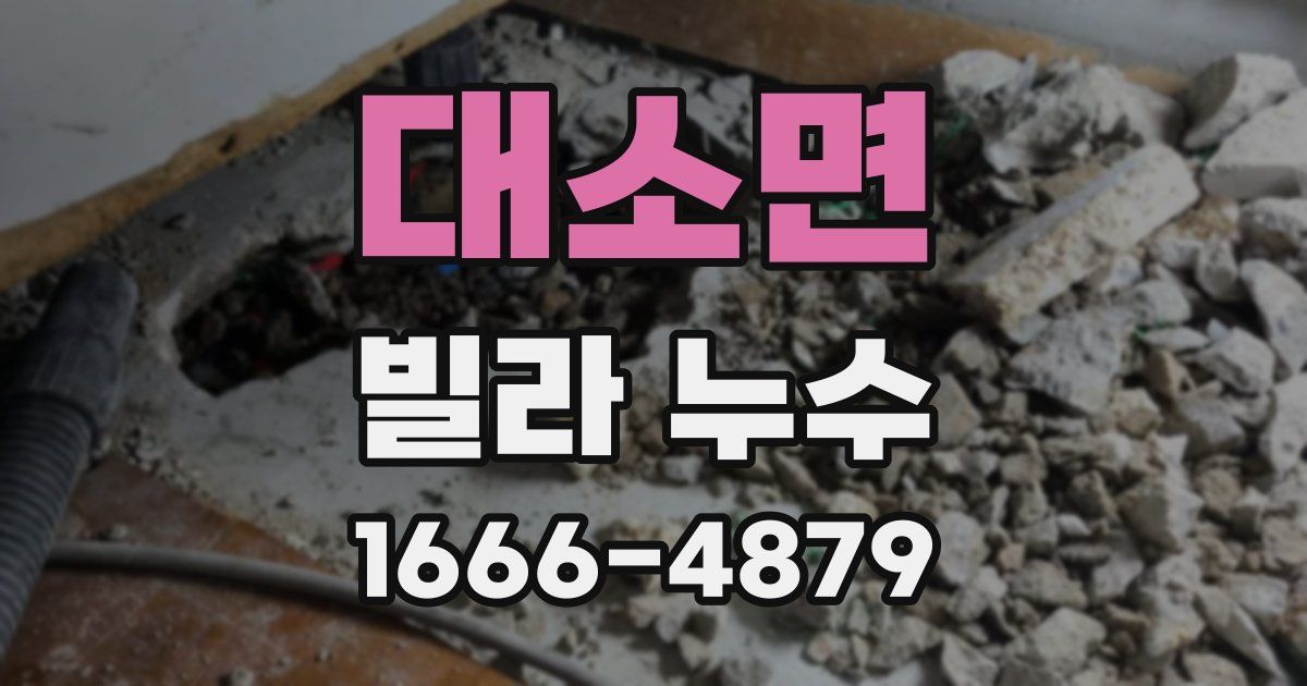 대소면 빌라 누수