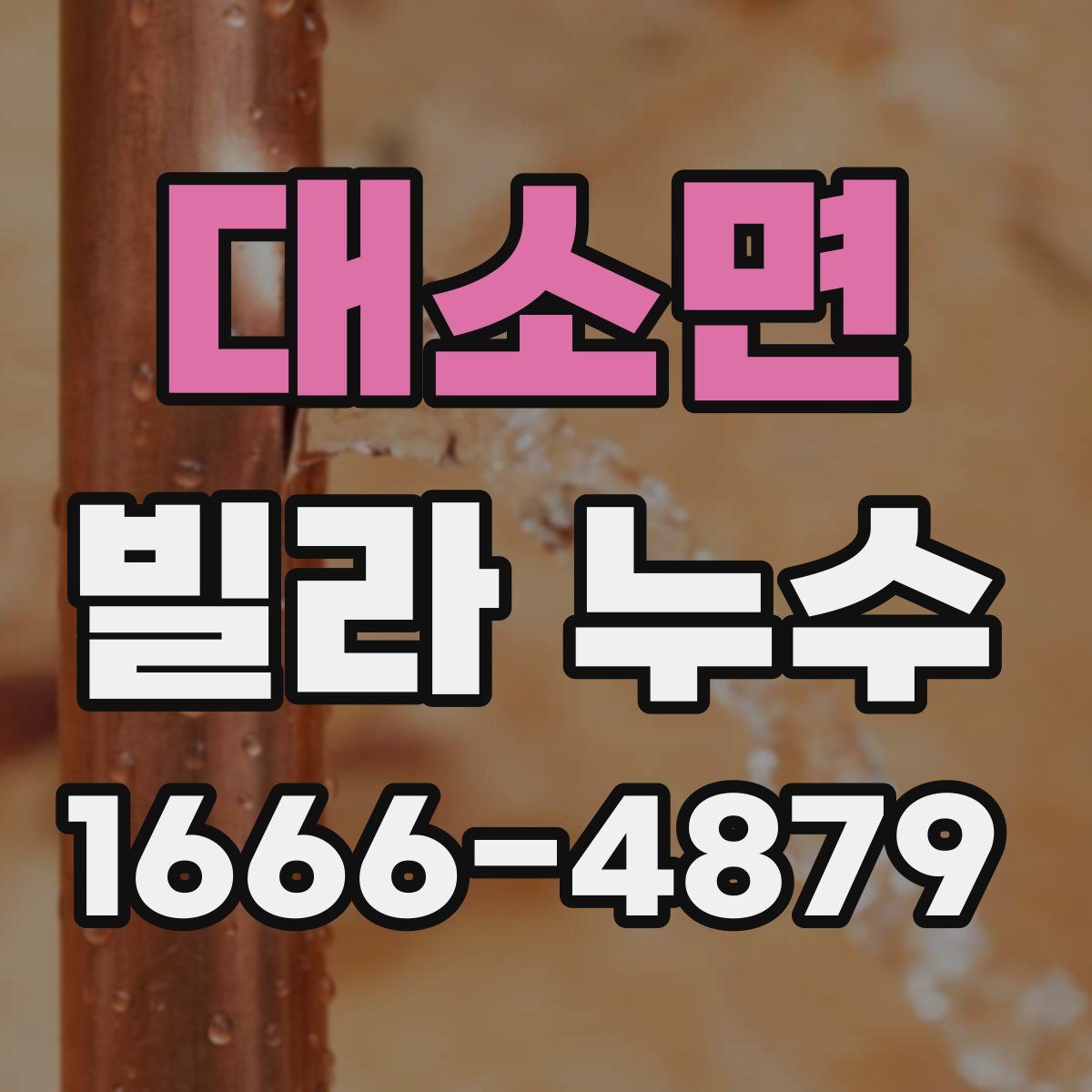 대소면 빌라 누수